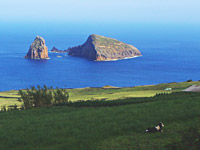 Küste (Graciosa)