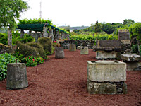 Weinmuseum in Biscoitos