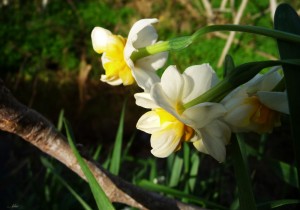 Ostern 2010