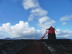 Windmühle im Weinbaugebiet Criação Velha