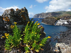 Fischerhafen in der Baia da Folga