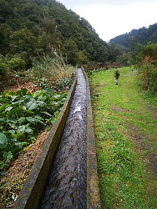 Wanderung Faial da Terra - Levada