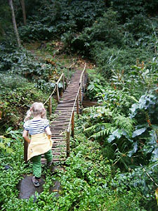 Wanderung Faial da Terra - Brücke