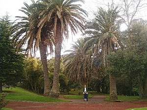 Jardim Antonio Borges