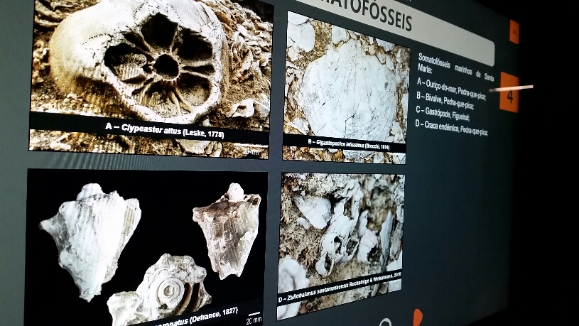Umfangreiche Infos zu Fossilien und zur Geologie der Azoren