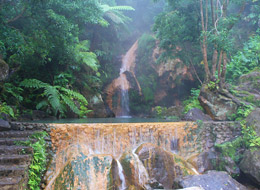 Caldeira Velha, São Miguel